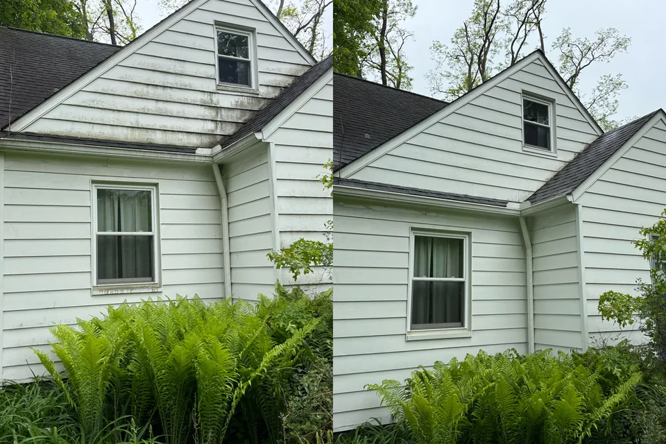 Before and after of an algae-streaked clapboard gable soft washed by Patty's Pressure Washing