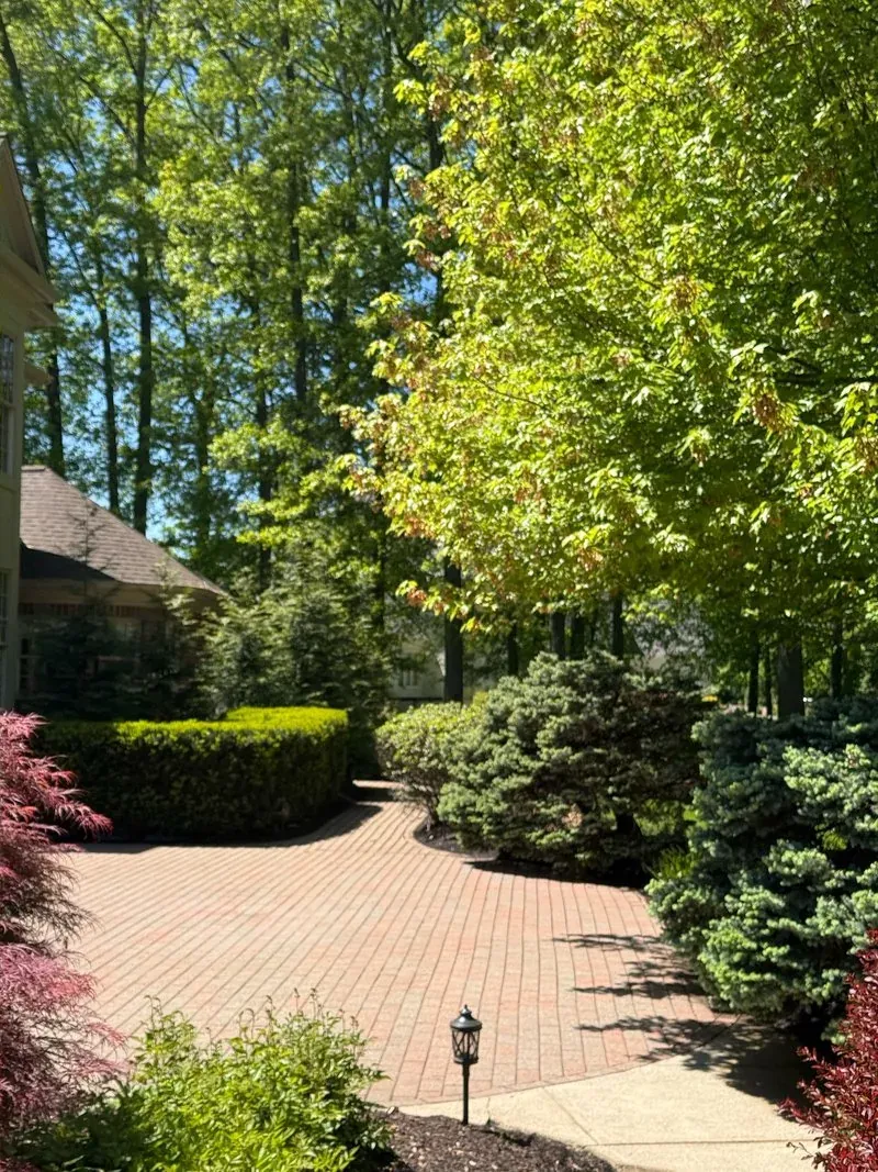 Brick paver courtyard and concrete walk in Westlake, Ohio, after cleaning by Patty's Pressure Washing