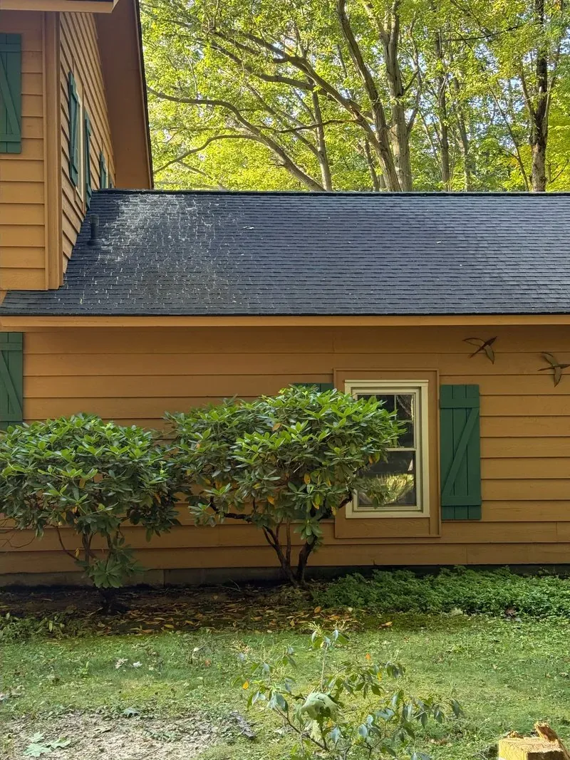 Shingle roof, moss cleared in Chagrin Falls, Ohio, after cleaning by Patty's Pressure Washing