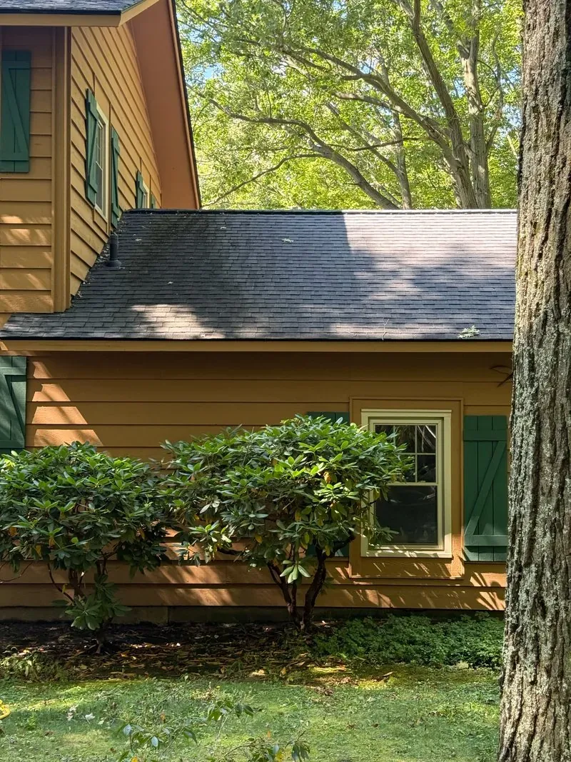 Shingle roof, moss cleared in Chagrin Falls, Ohio, before cleaning