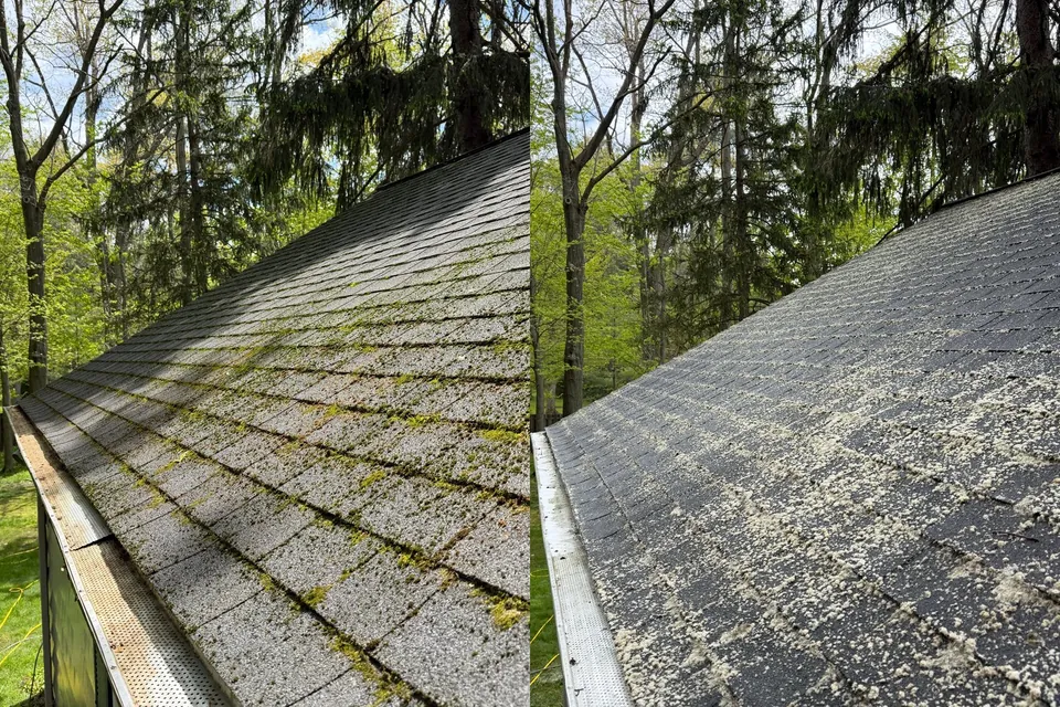 Before and after of a moss-covered asphalt shingle roof soft washed in Chagrin Falls, Ohio, by Patty's Pressure Washing
