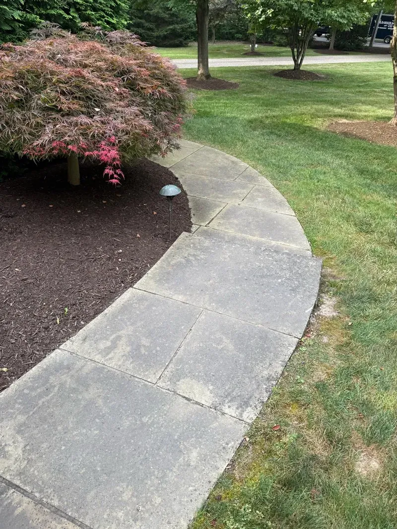 Curved sandstone walkway in Shaker Heights, Ohio - borders University Heights, before cleaning
