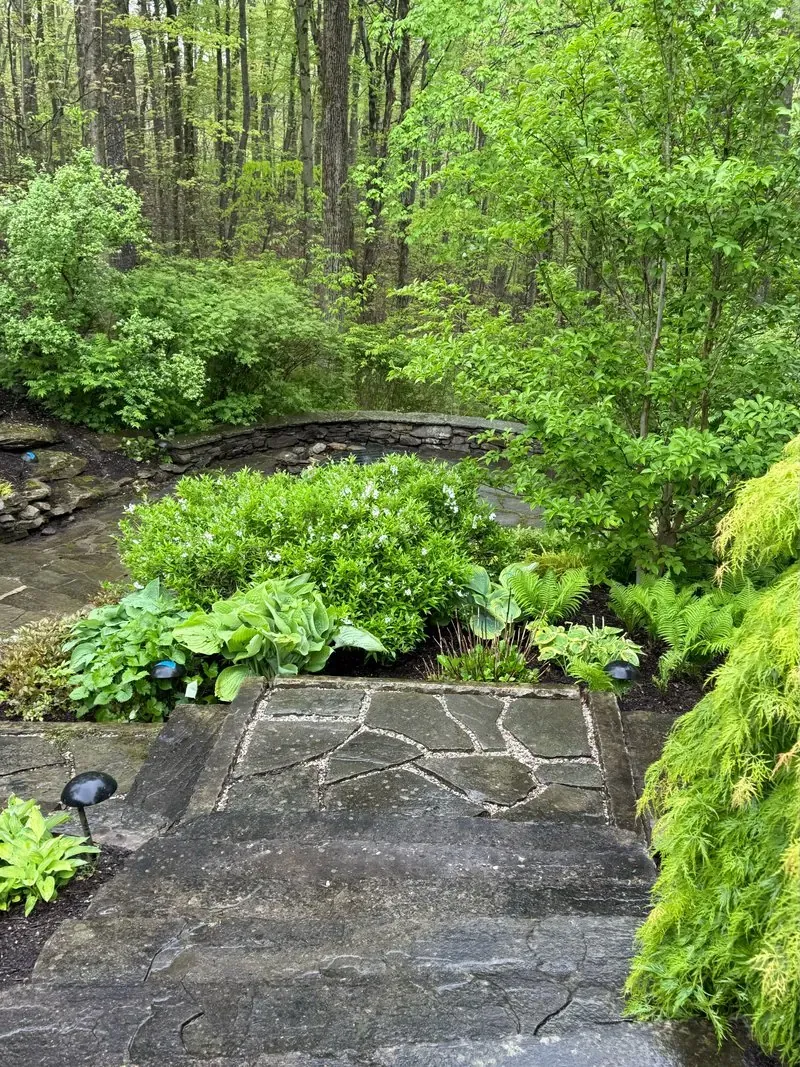 Flagstone landing and sandstone steps in Chagrin Falls, Ohio, before cleaning