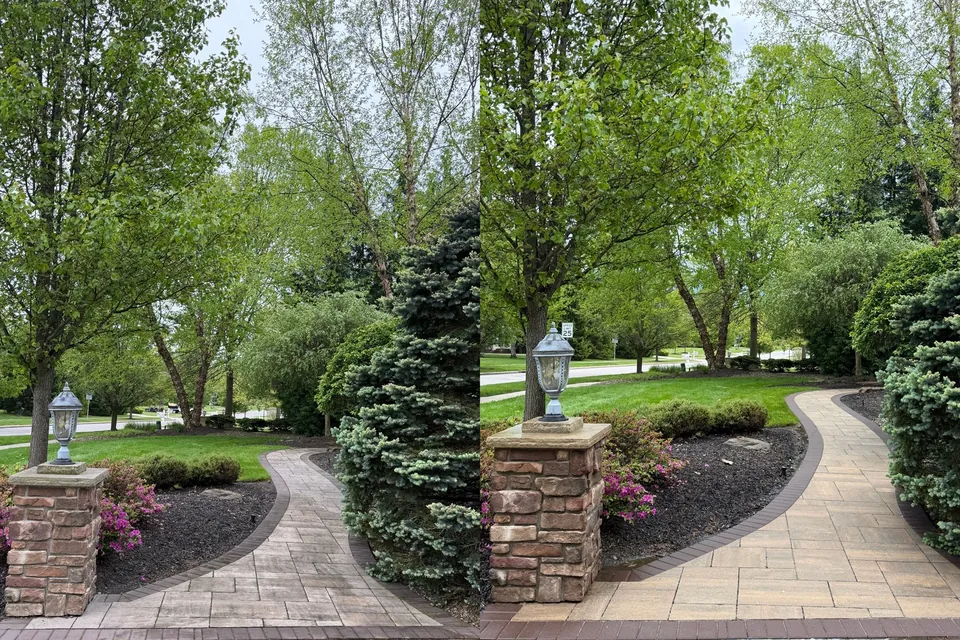 Before and after of a curved paver front walkway cleaned in Solon, Ohio, by Patty's Pressure Washing