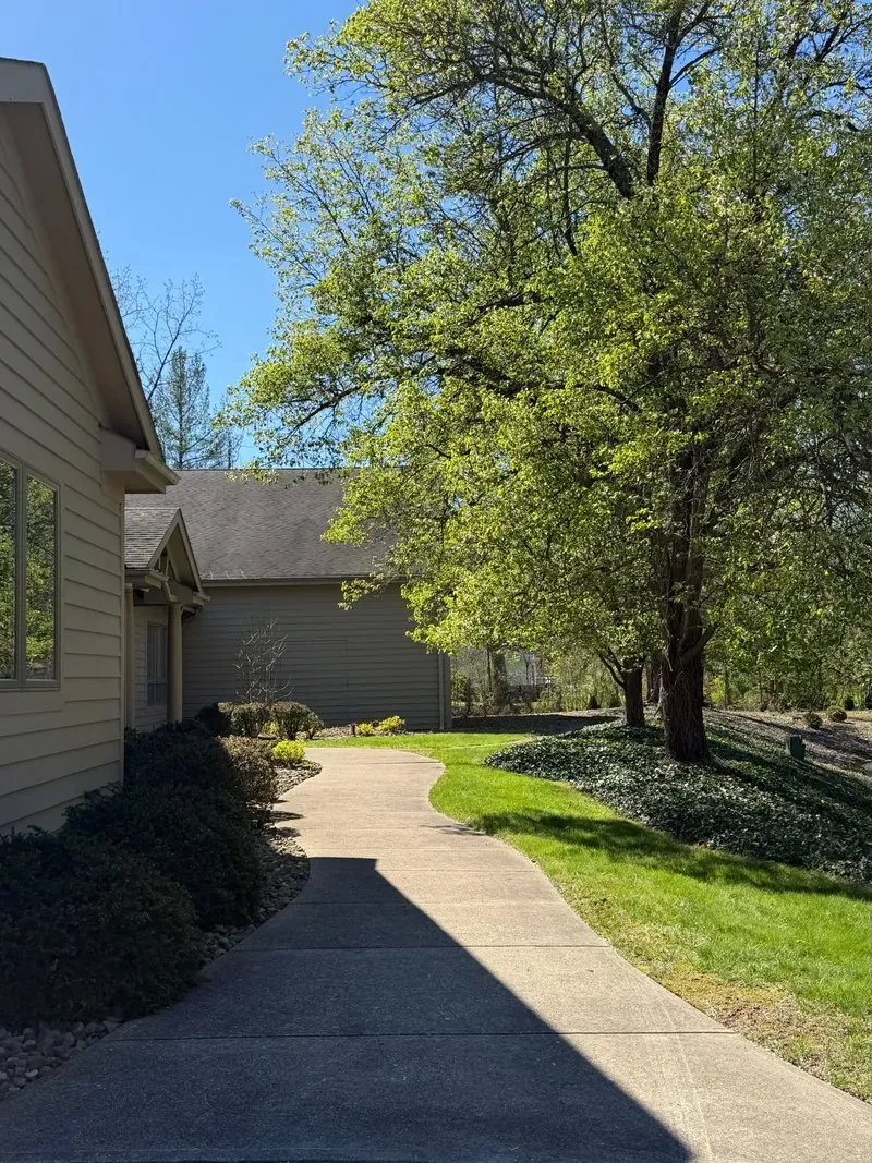 Concrete walkway in Moreland Hills, Ohio, before cleaning